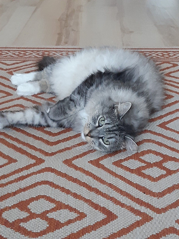 20191027-141650.jpg