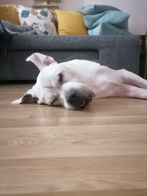 34116F3A-72BE-4A0D-8A88-DEA3099A85BF