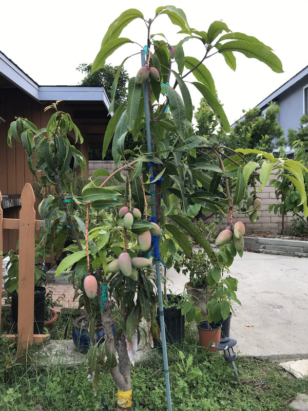 7CA7A2FD-2417-43F7-9DD1-7988D12870DB