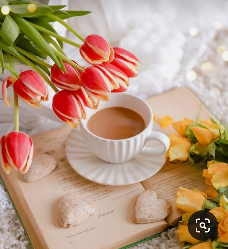 Screenshot_20230905_012024_Pinterest