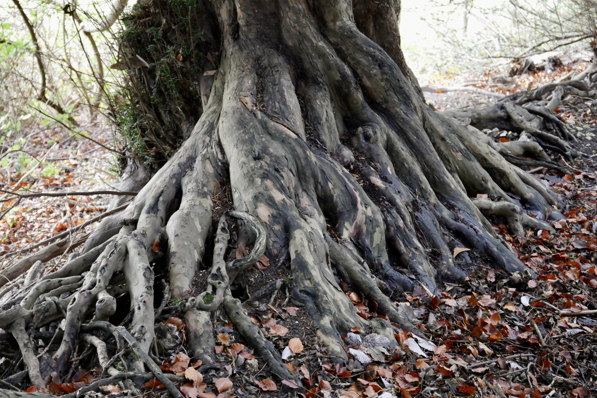 437B67F8-2254-47F0-8FA0-93A87CF0D146