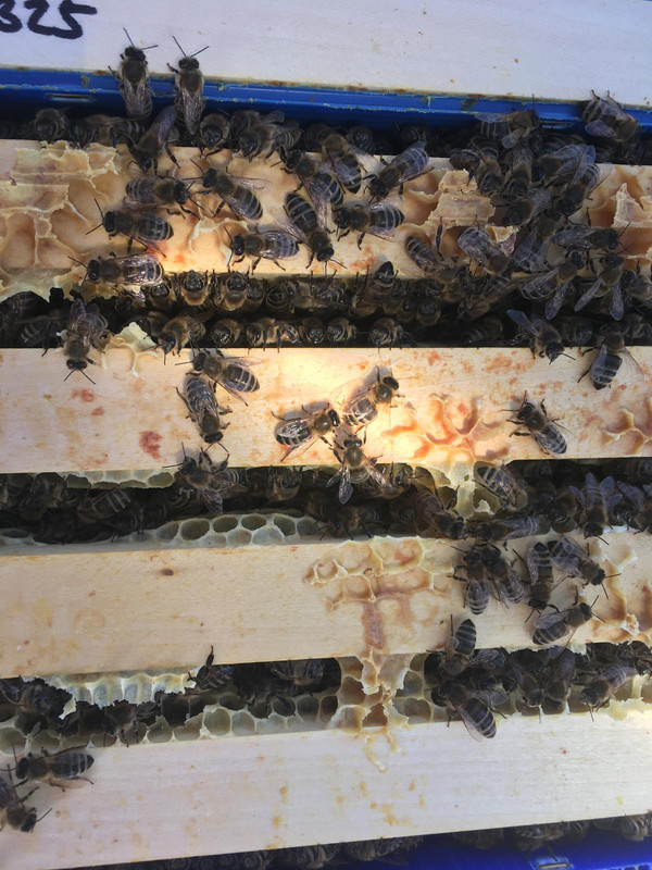 CECC19FD-DDF8-4A81-9B19-A03EBA60EA11