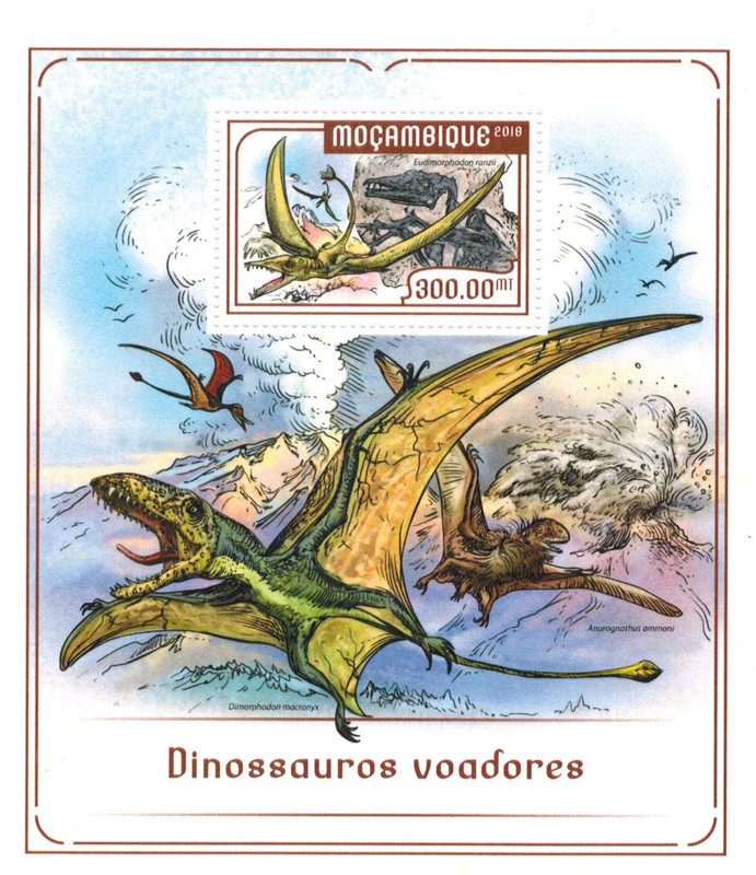 1700102258_poknok-art-p-eudimorfodon-54 (1)