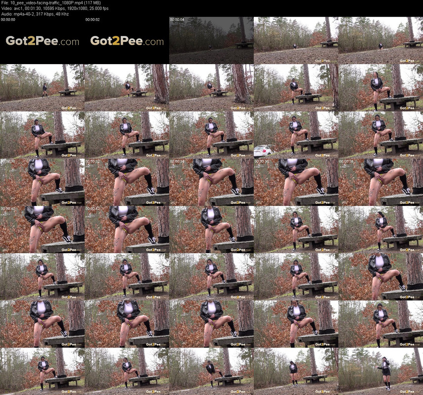 10_pee_video-facing-traffic_1080P