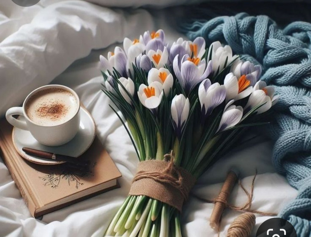 Screenshot_20240506_230727_Pinterest