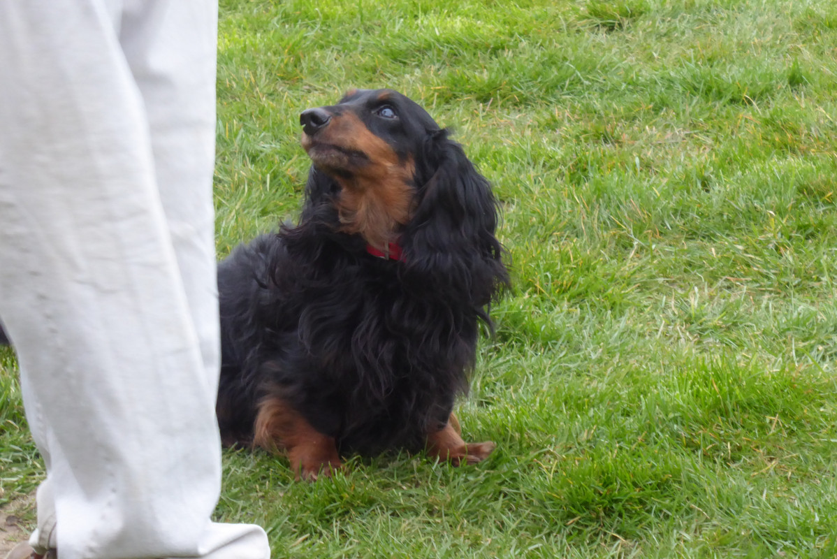 [Image: P1060085.jpg]