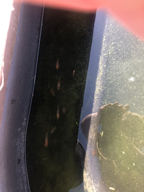 853CE89A-EFED-465F-9ED4-EE31090BF690