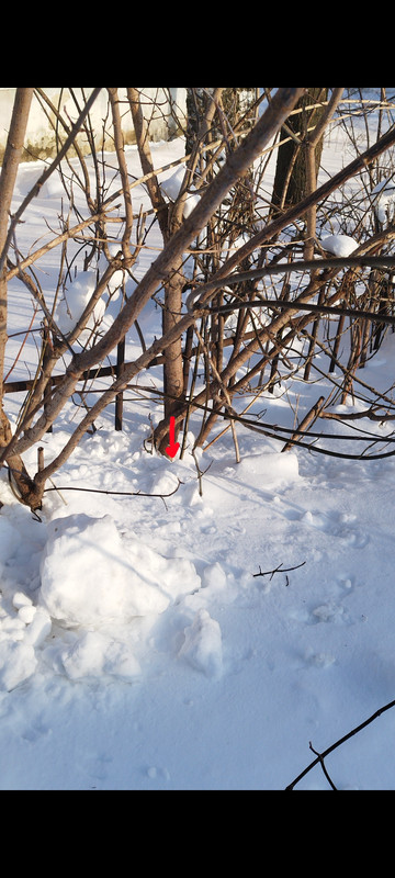 Screenshot 2026 01 09 13 52 07 868 com miui gallery