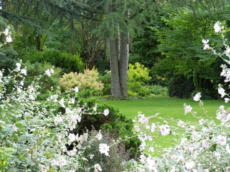 2014-07-13 Arboretum Härle 18