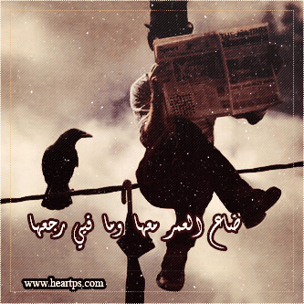 ���� ���� ������ �� ���� ������