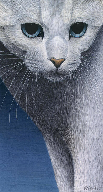 03-cropped-cat-5-carol-wilson