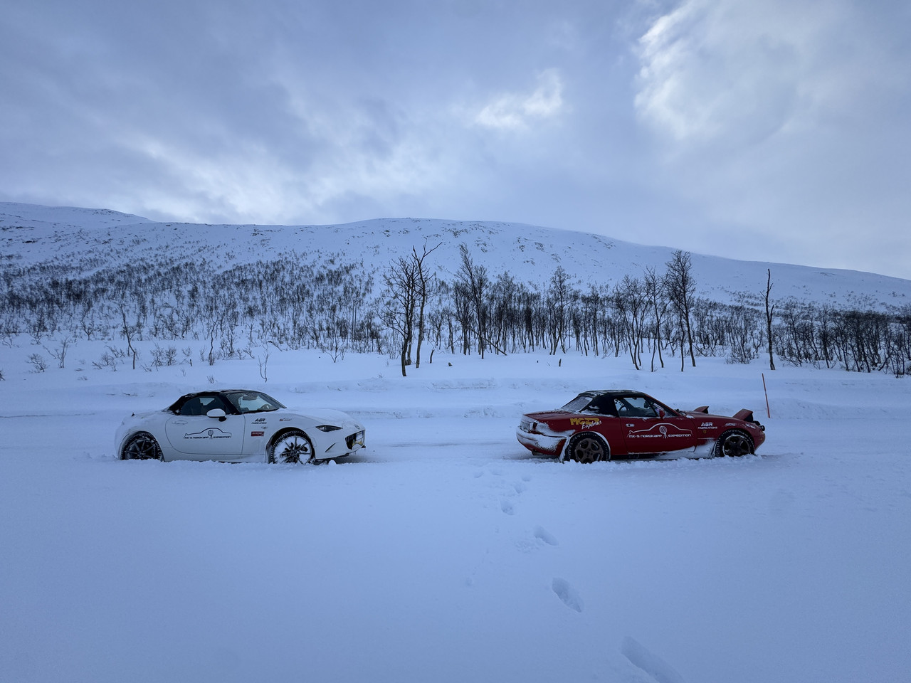 [Immagine: IMG-8293.jpg]