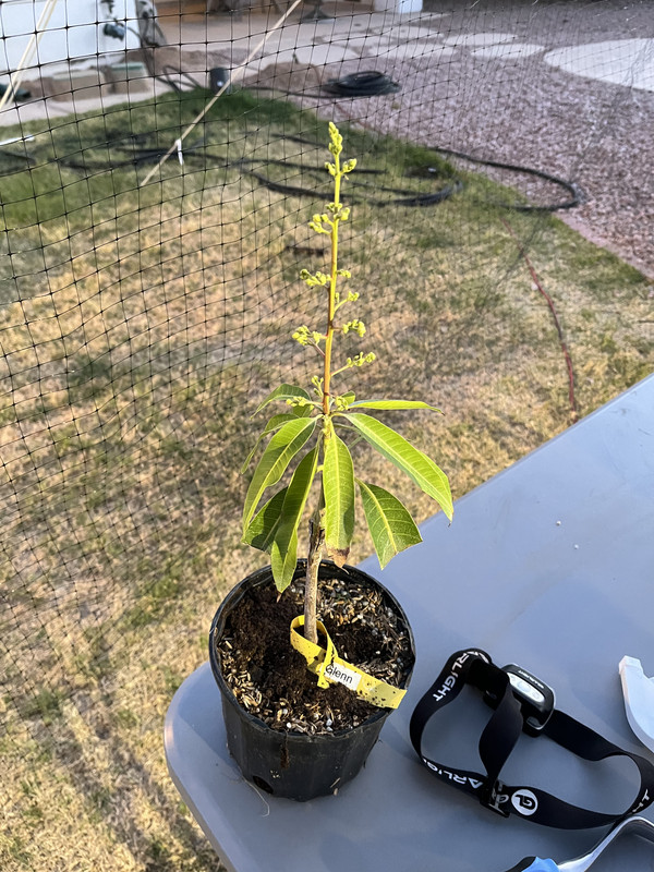 B77F72E6-32FC-48E5-A162-D855527A4C5D