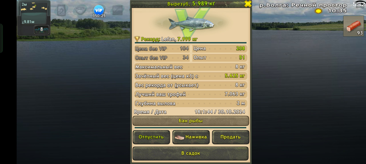Screenshot-2024-10-30-18-01-57-24-fa28ee