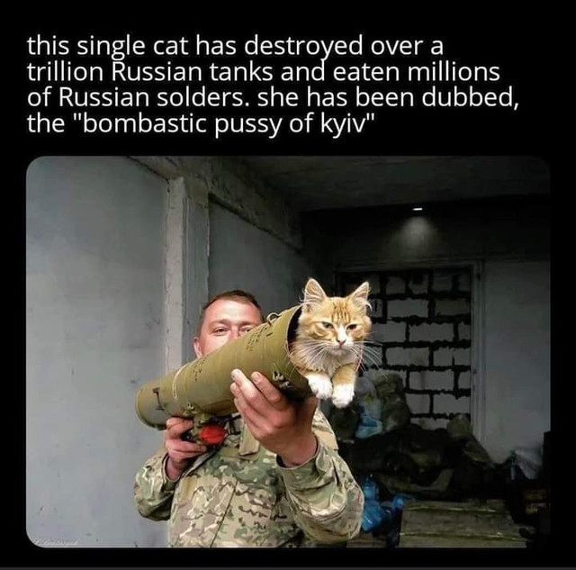 FB-IMG-1646691248782.jpg