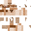 Skyrim Beggar on planetminecraft com