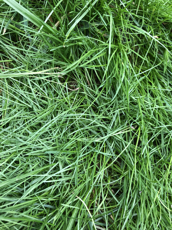 0D01B699-30C8-4C58-8EFD-D3888FF725C3