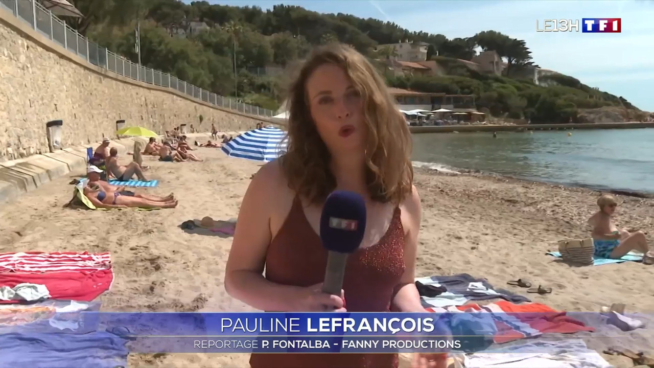 2021-06-11_13_00_TF1_Le-13h.mp4_snapshot_00.28.35.337