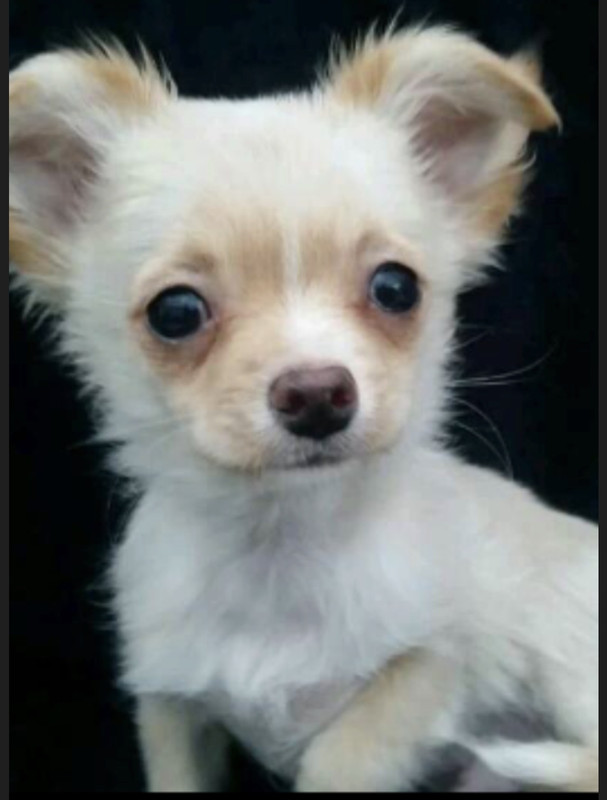 91EBBA83-8B6E-49DB-BD97-C80035C29FA7