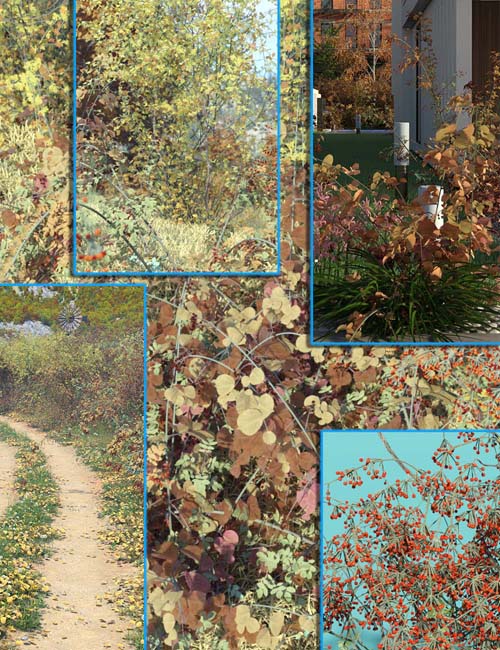 Hedgerow Kit 3 - Fall Hawthorne Hedges Brambles and DogRose
