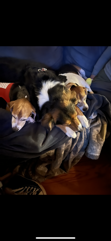 F3A954AE-E0C1-4CE8-A14A-F0917988186F