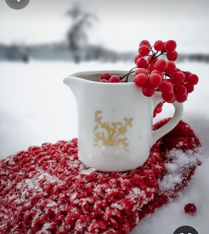 Screenshot_20231213_230243_Pinterest