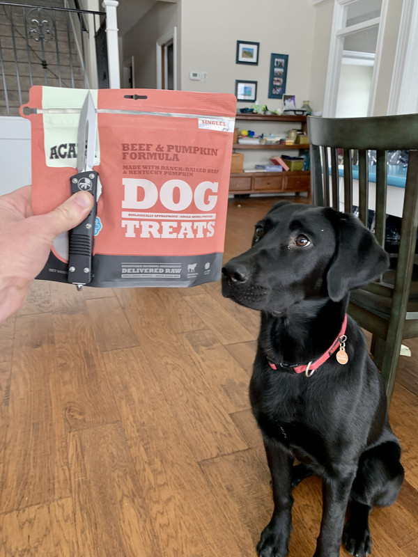 81EBAFBC-5DA4-4B18-99C0-087BEE525BAA