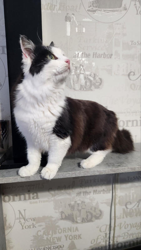 IMG-d7b10e63daf07d32c30ea102c9ab43f4-V