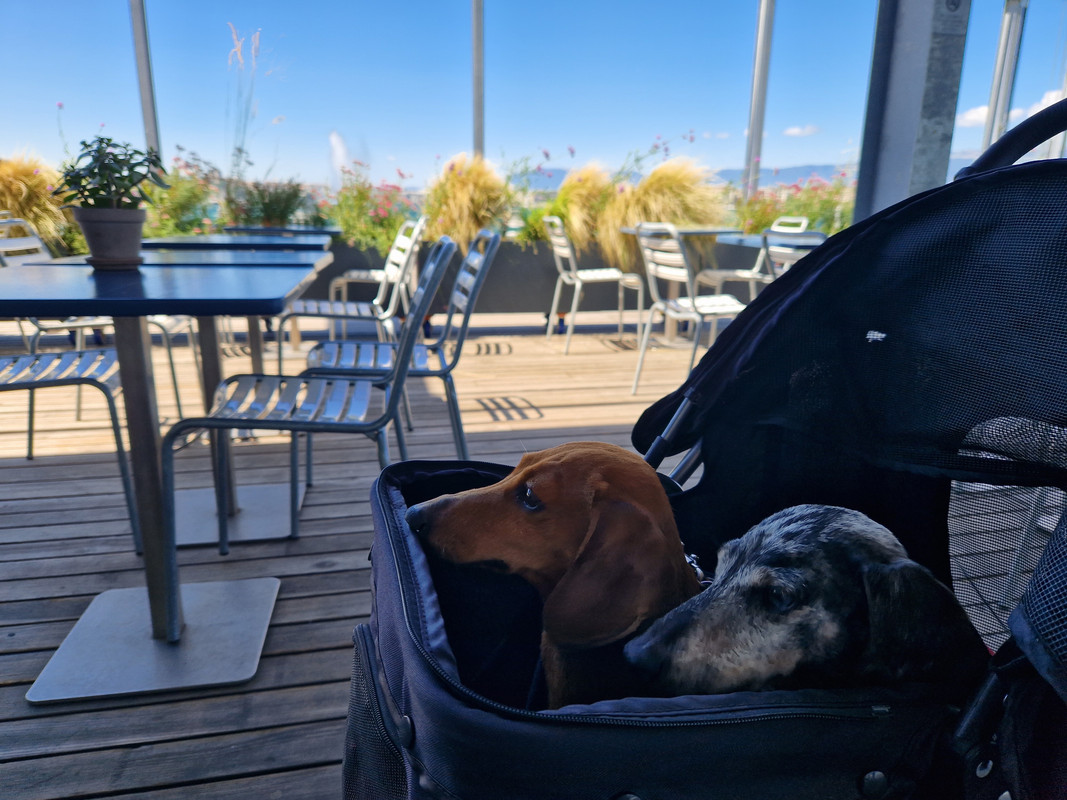 [Image: 20230802-122542.jpg]