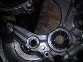 12170661_1473861476256591_859246641_n