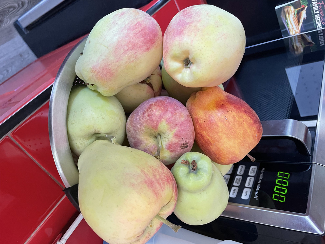 B6A8E6ED-2D19-430C-BF87-7AB30DEA4232