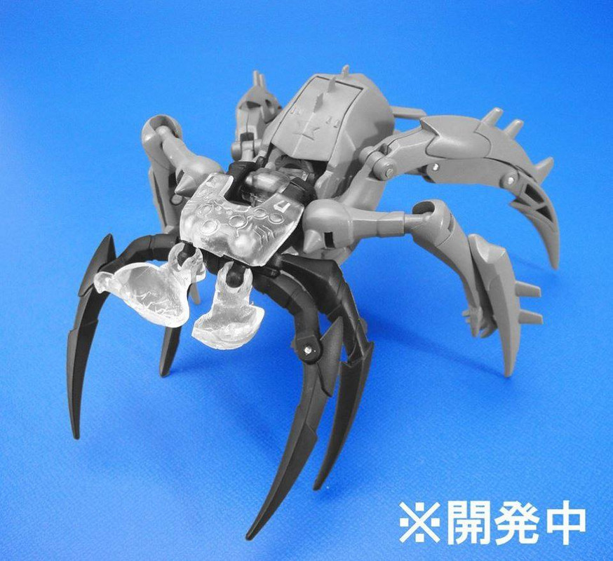 10410709_844099859009758_793918799651245591_n