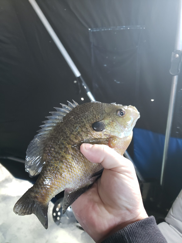 20190309_144647