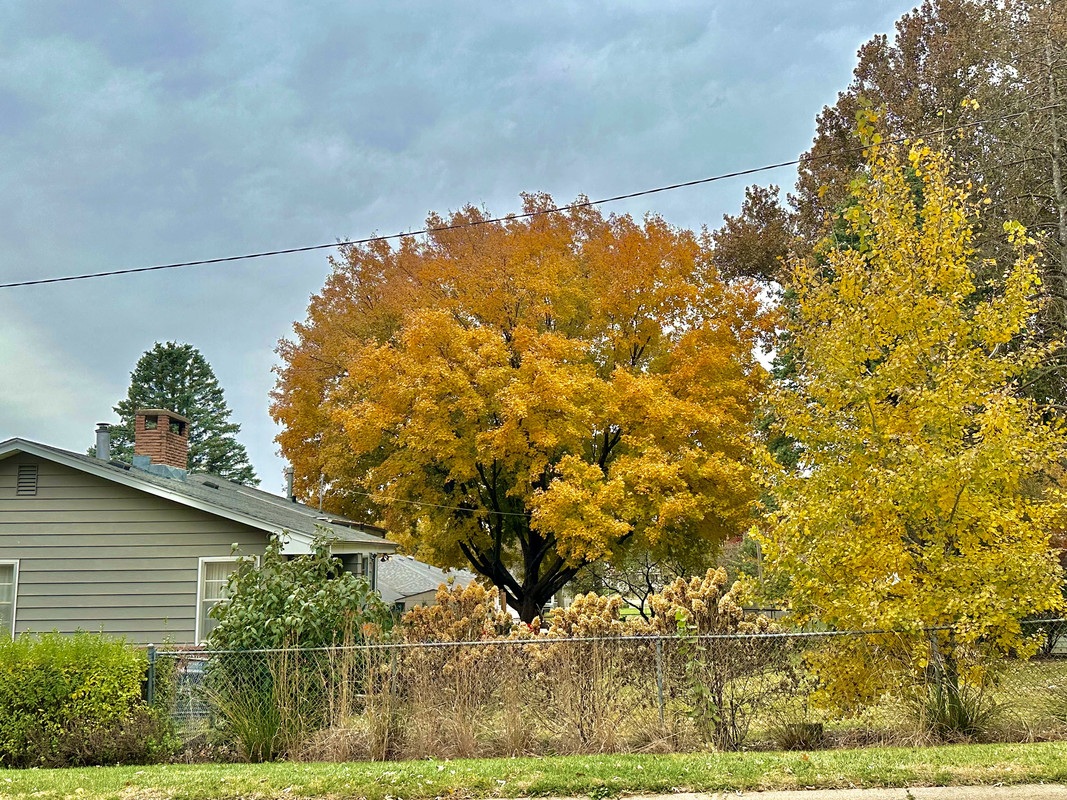 E96E82AC-B594-402B-A903-274708349797