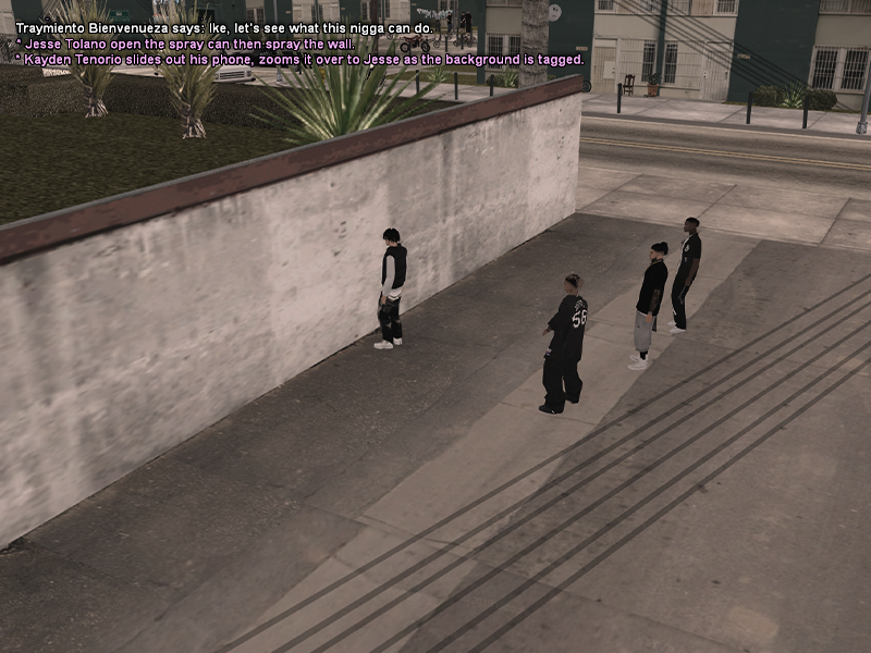 SS1.png