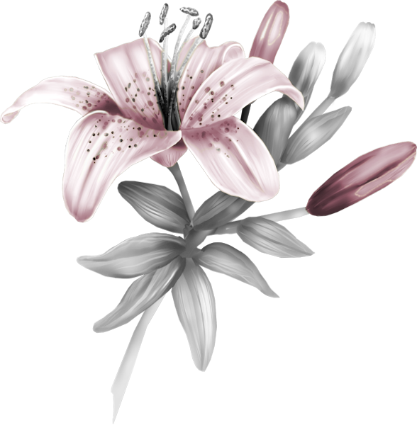 TADD_elements_PrincessParisian (2)