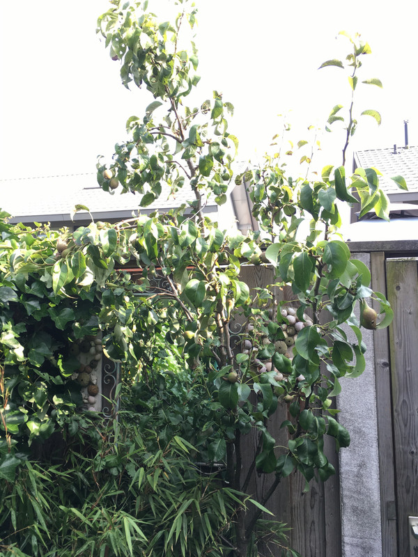 CA8A58DD-72D5-4C3A-99CF-35E0C3753FA7