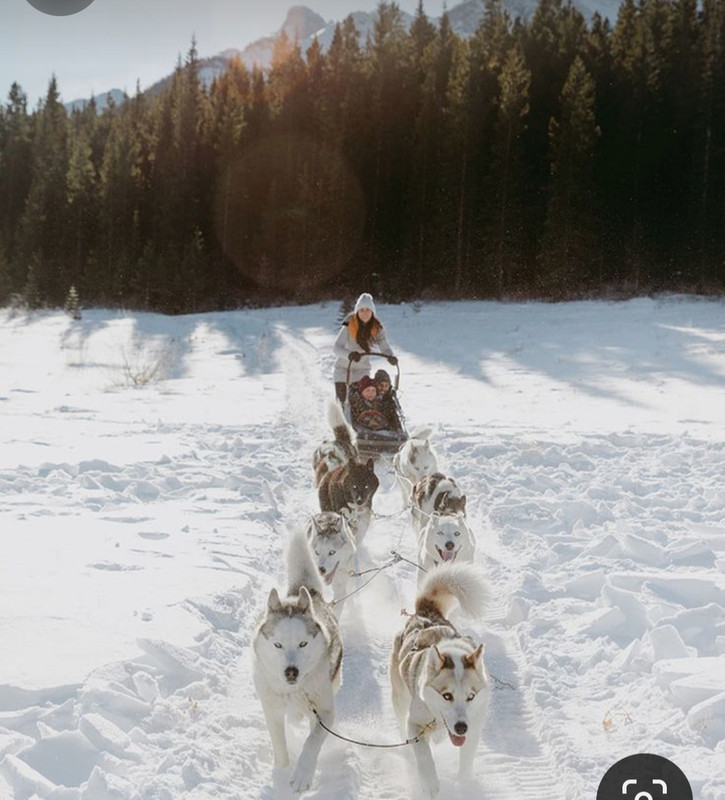 Screenshot_20231205_192354_Pinterest