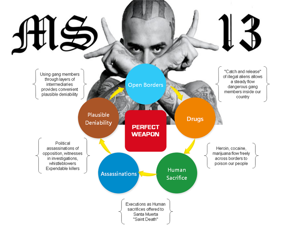 MS13 A