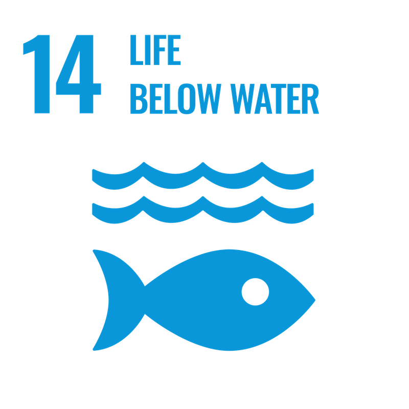 SDG 16
