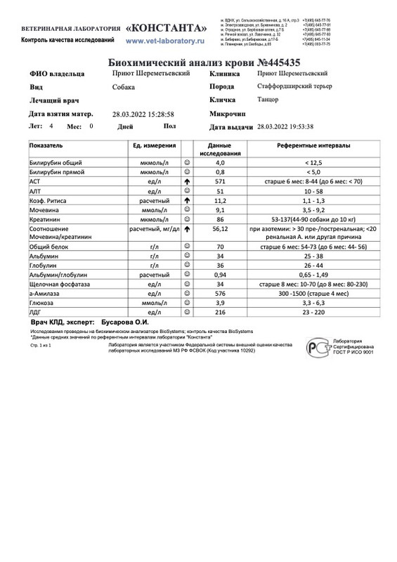 Биохимический анализ крови (445435)