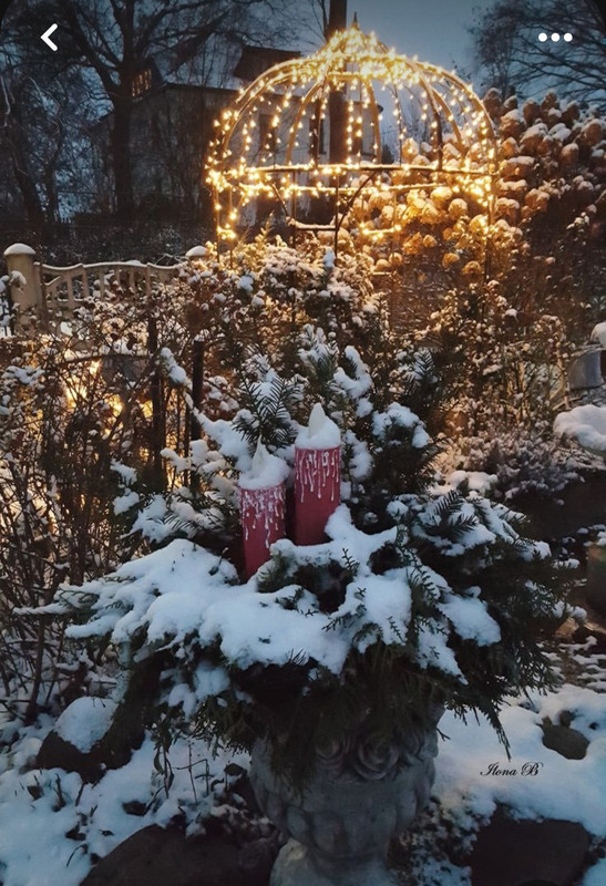 Screenshot_20240113_151306_Pinterest