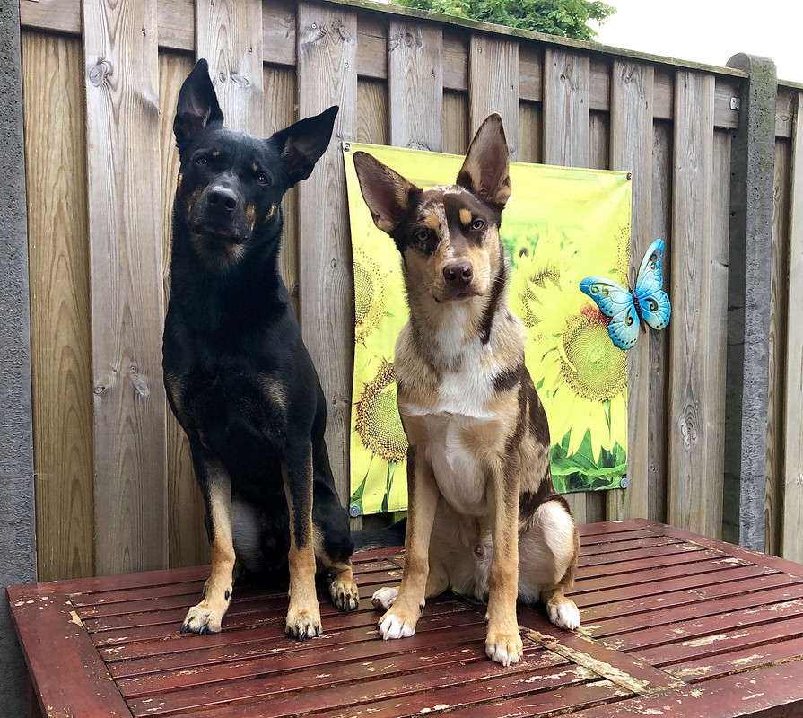 FB193FAB-8B17-4D4A-B37B-E02277003FAF