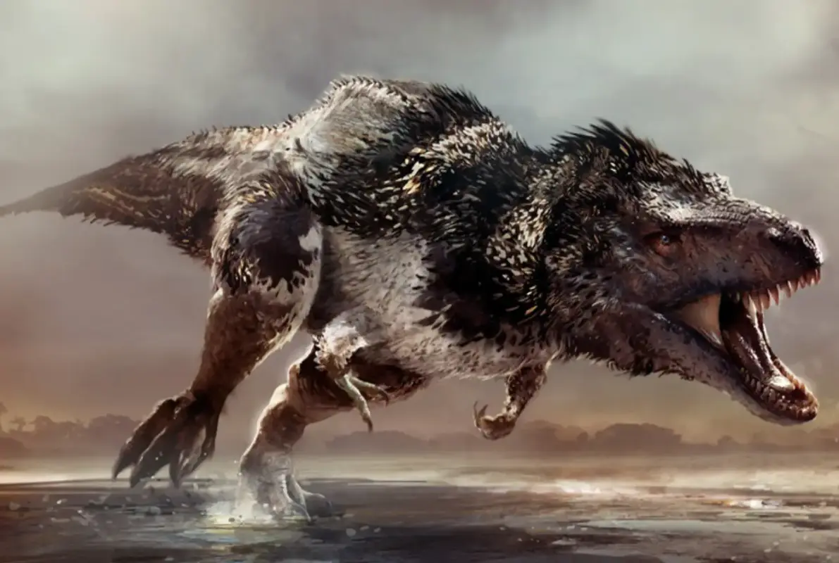 Screen-Shot-2018-10-16-at-3.42.26-PM