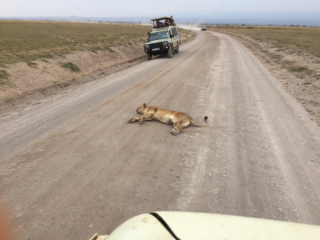 1F832815-F82C-4DFC-94B8-FA63C9EC1820