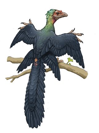 a6b7b90d1b4727cd6fc42790c49ef721