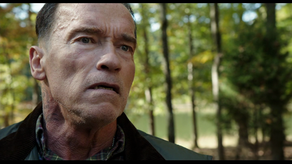 vlcsnap-2018-03-09-19h47m45s117