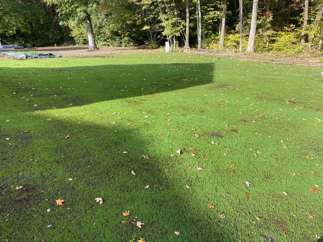 854E87E8-E5D5-48FD-8A04-D6C901F80D9C