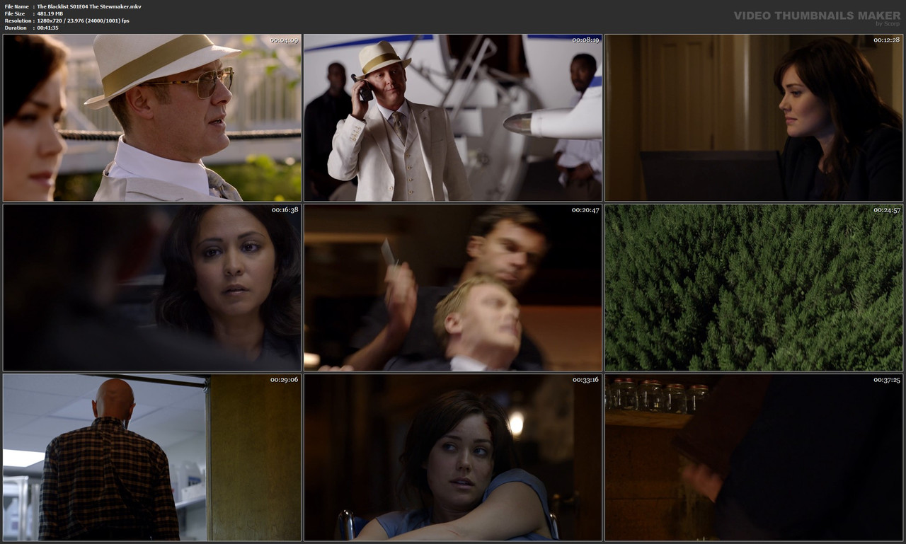 The Blacklist S01E04 The Stewmaker.mkv