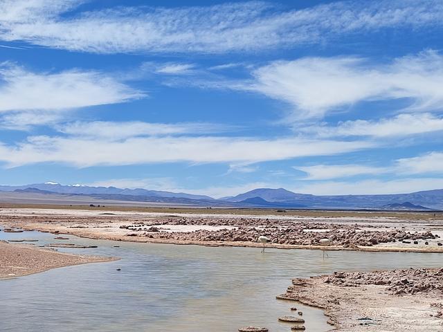 CAMPO DE PIEDRA POMEZ. LAGUNA, VOLCAN Y SALAR CARACHI PAMPA. - ARGENTINA INFINITA II/ TORRES DEL PAINE (14)